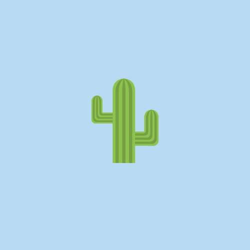Succulent Planter